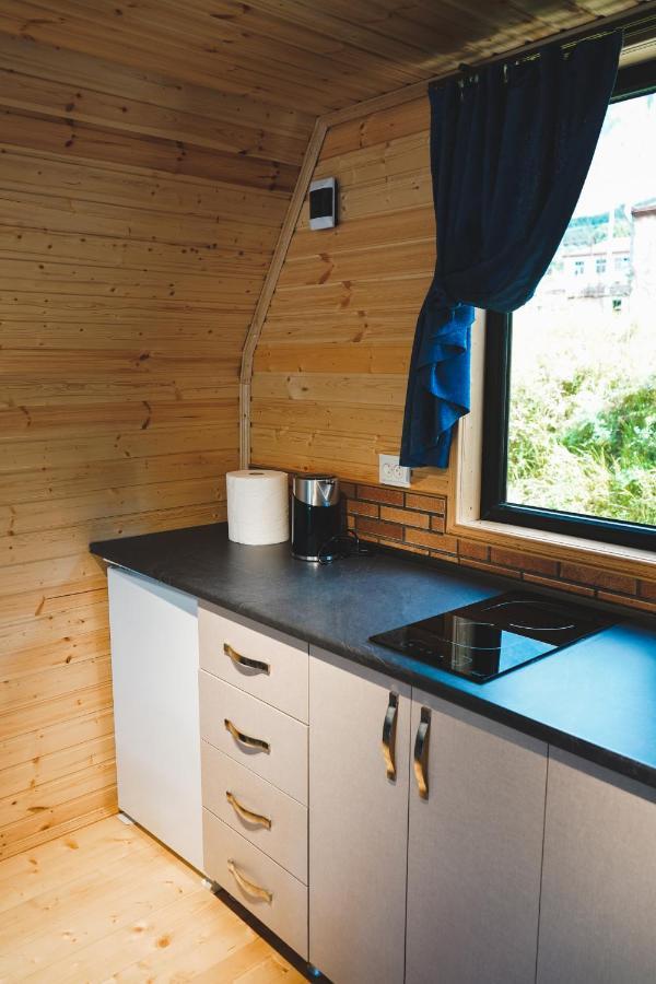 Vaso-Levani Kazbegi Cottage エクステリア 写真